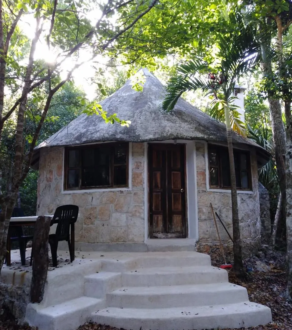 Drop By Nature Hotel Ruta De Los Cenotes Puerto Morelos