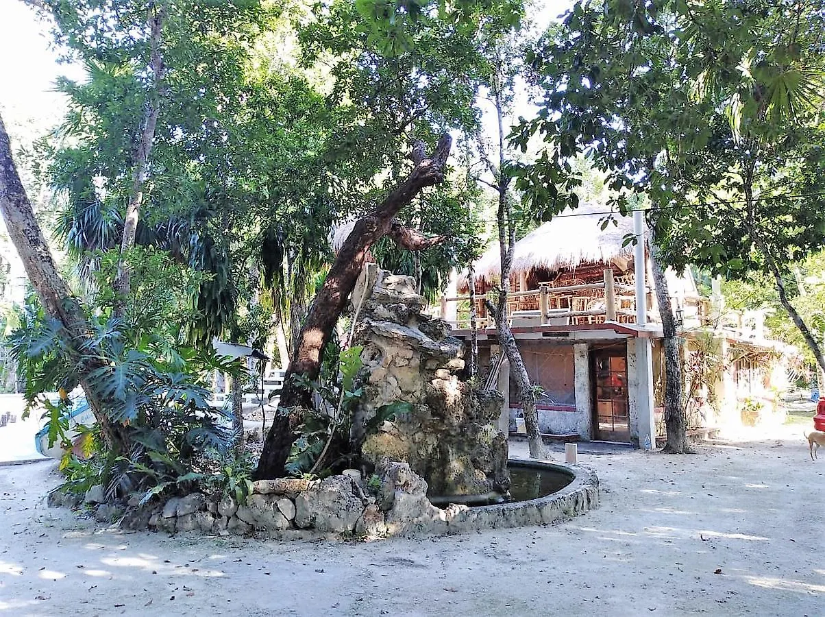 Drop By Nature Hotel Ruta De Los Cenotes Puerto Morelos 0*,