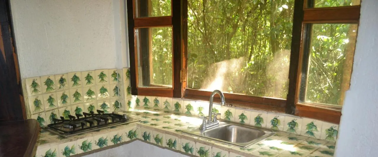Drop By Nature Hotel Ruta De Los Cenotes Puerto Morelos Lodge