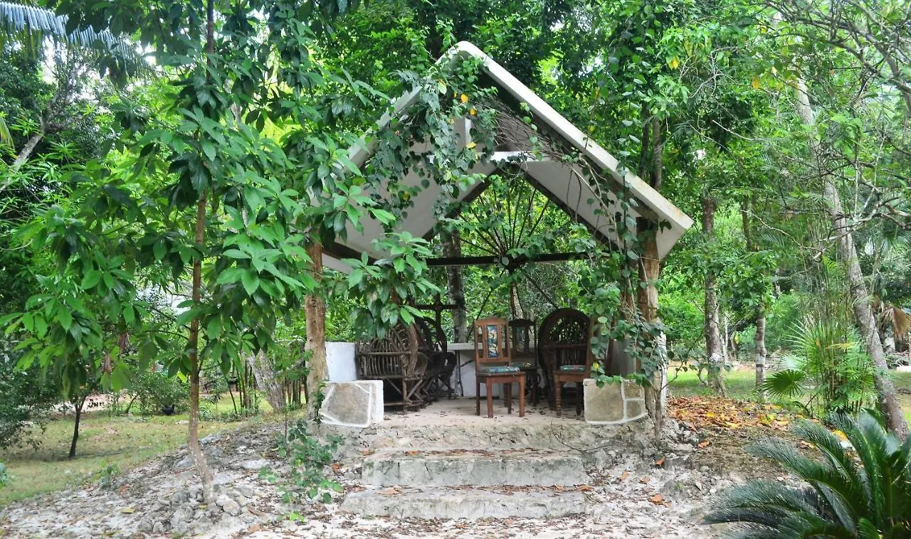 Drop By Nature Hotel Ruta De Los Cenotes Puerto Morelos Lodge