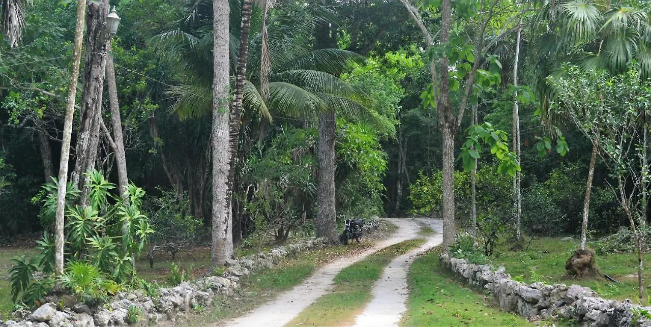 Lodge Drop By Nature Hotel Ruta De Los Cenotes Puerto Morelos