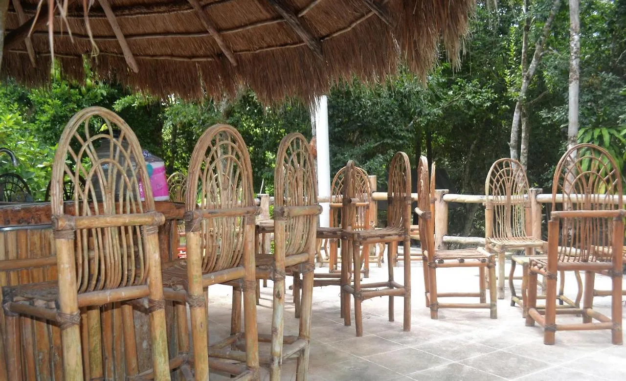 Drop By Nature Hotel Ruta De Los Cenotes Puerto Morelos Lodge