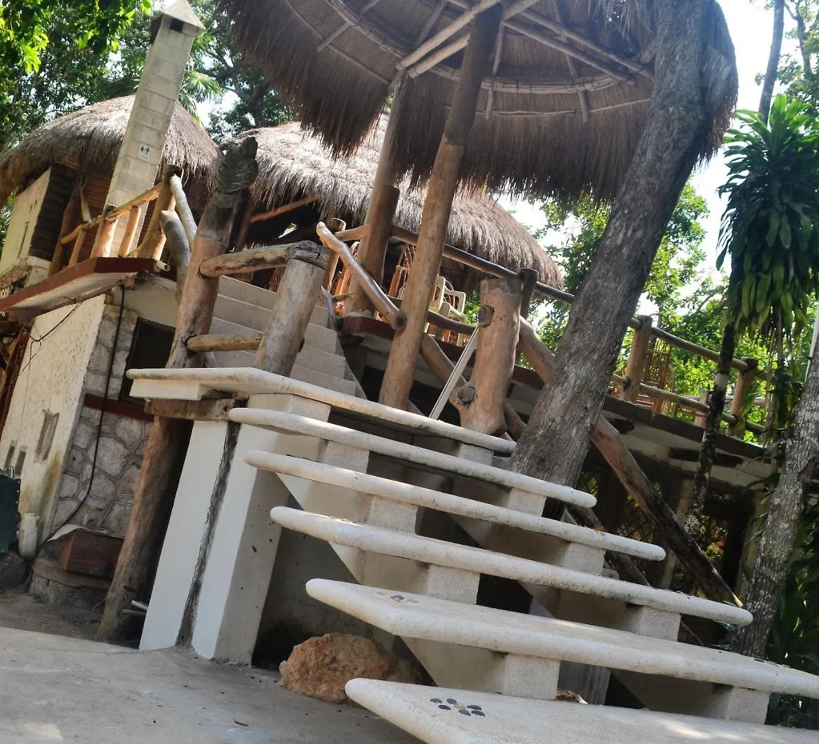 Drop By Nature Hotel Ruta De Los Cenotes Puerto Morelos