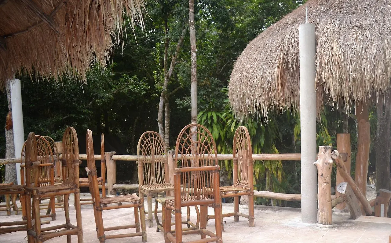Drop By Nature Hotel Ruta De Los Cenotes Puerto Morelos Mexico