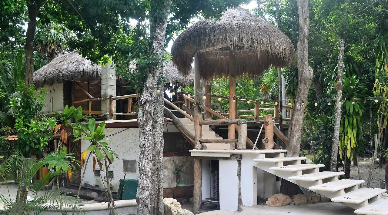 Drop By Nature Hotel Ruta De Los Cenotes Puerto Morelos 0*,  Mexico