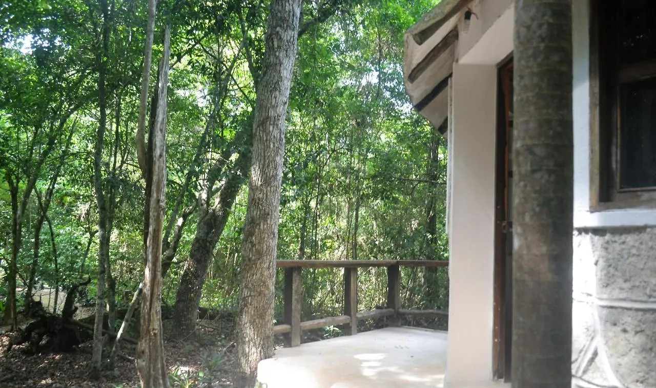 Drop By Nature Hotel Ruta De Los Cenotes Puerto Morelos