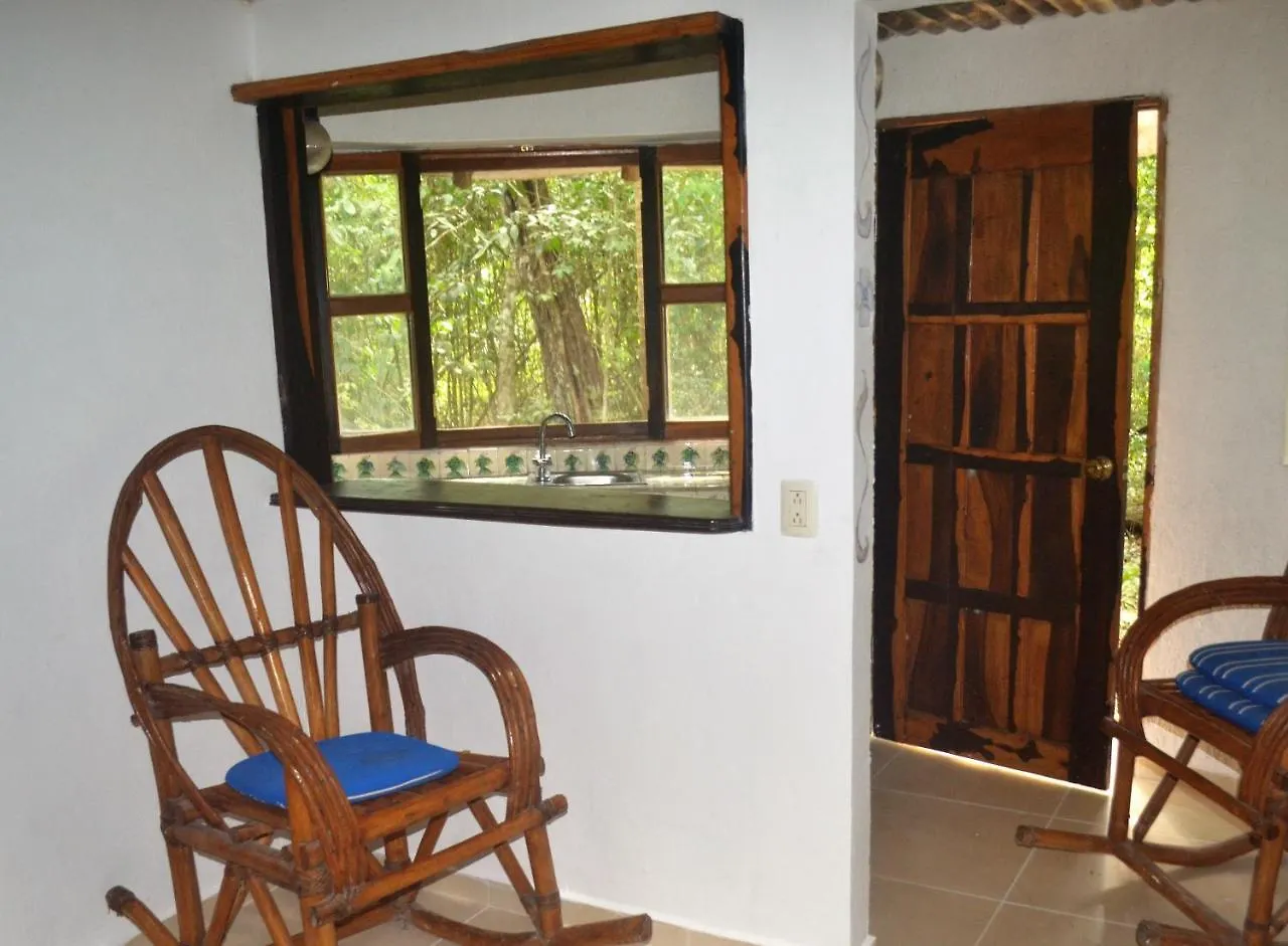 Drop By Nature Hotel Ruta De Los Cenotes Puerto Morelos Meksyk